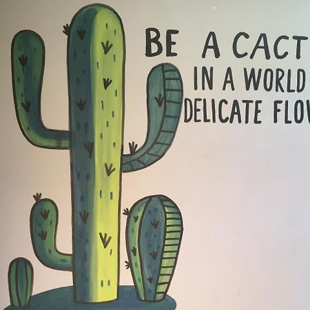 Bajas Cactus Hostel Cabo San Lucas Exterior photo