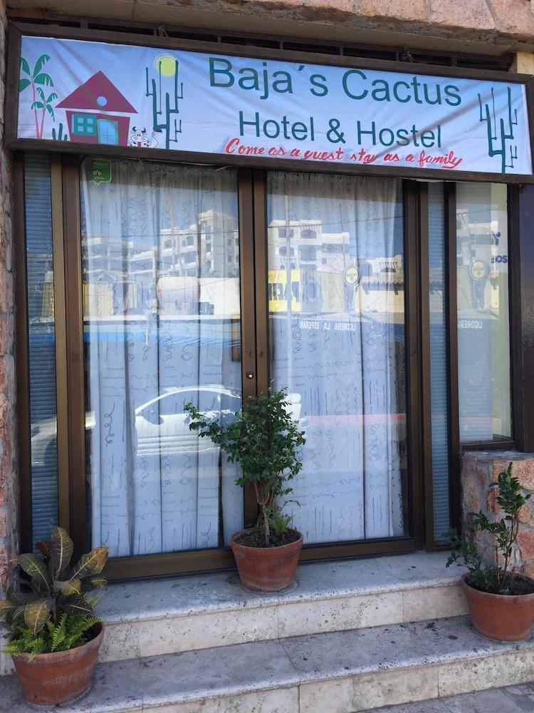 Bajas Cactus Hostel Cabo San Lucas Exterior photo