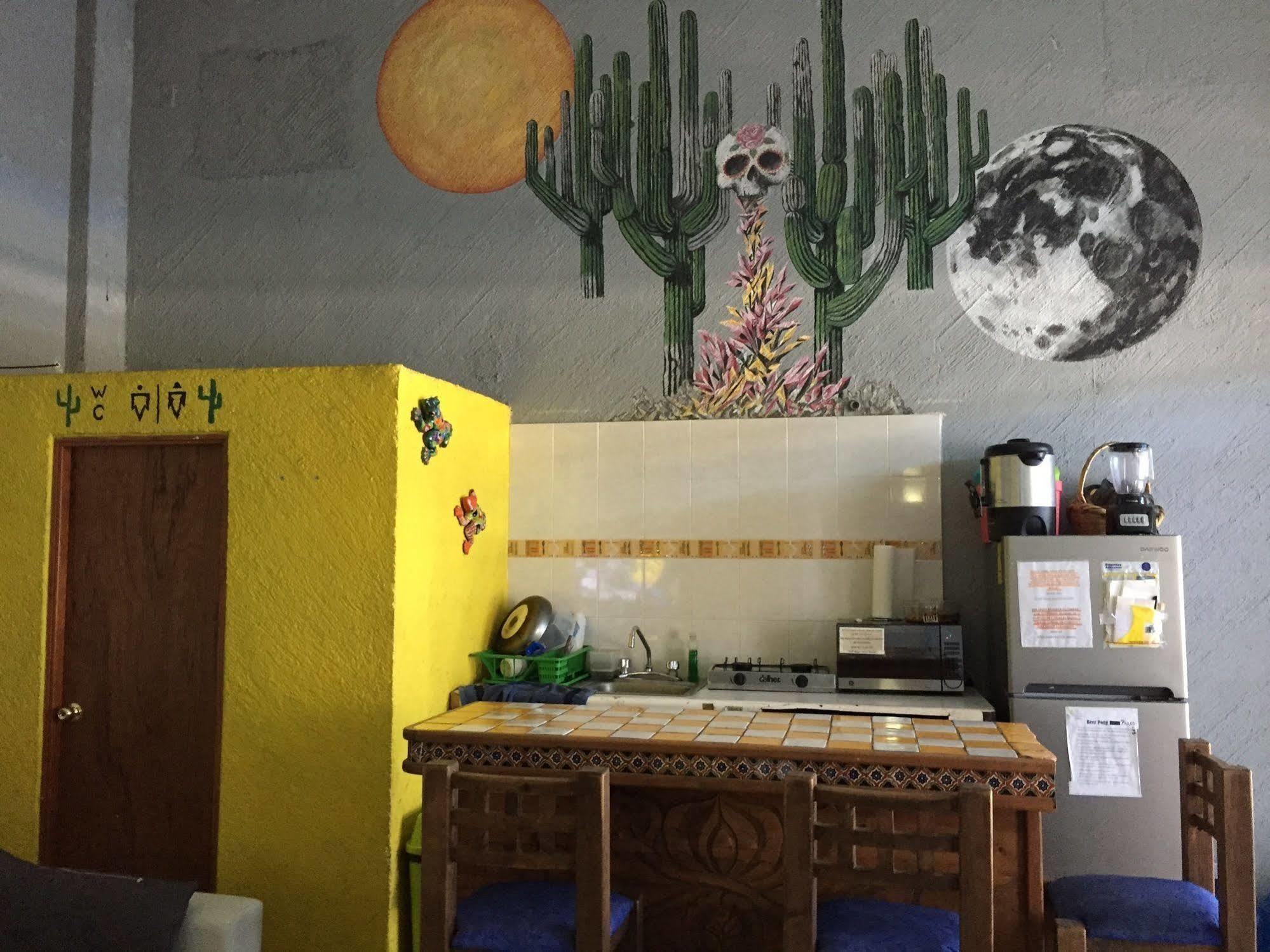 Bajas Cactus Hostel Cabo San Lucas Exterior photo