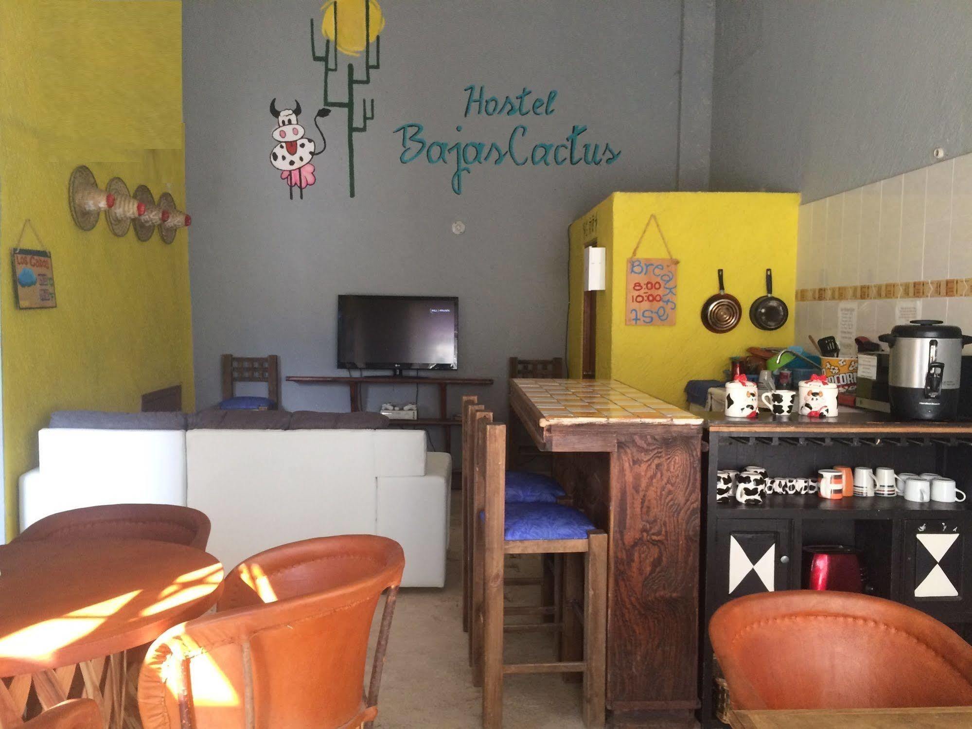 Bajas Cactus Hostel Cabo San Lucas Exterior photo
