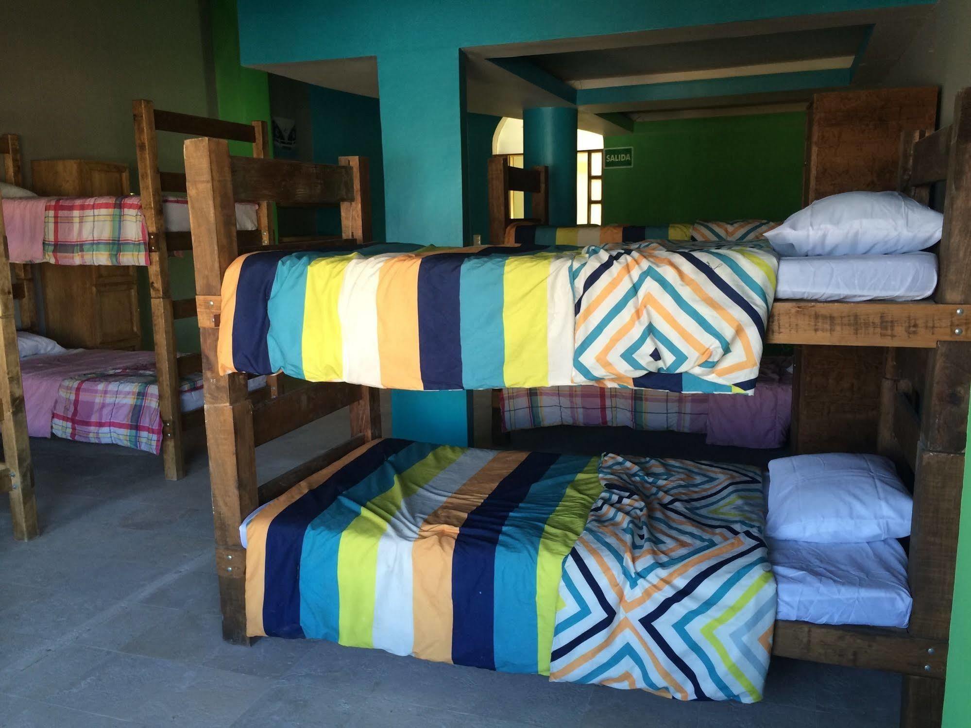 Bajas Cactus Hostel Cabo San Lucas Exterior photo