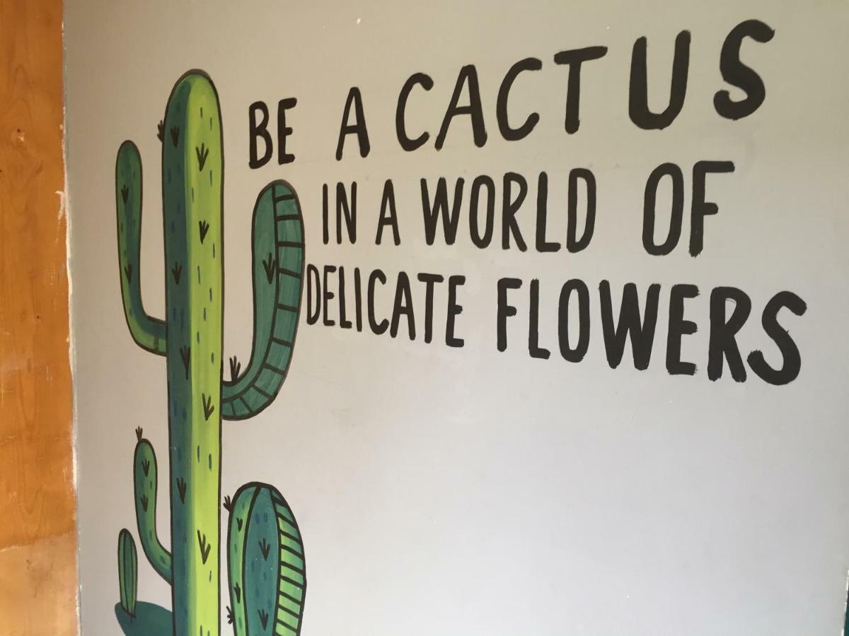 Bajas Cactus Hostel Cabo San Lucas Exterior photo